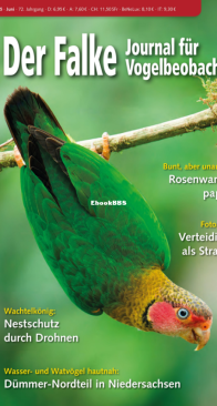 Der Falke – 06.2025 - German