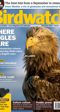 Birdwatch UK - Issue 353 - 11.2021 - English
