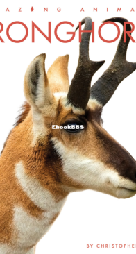 Pronghorn - Amazing Animals - Christopher Bahn - English