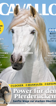 Cavallo - 04.2025 - German