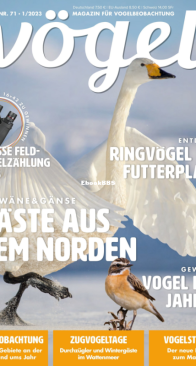 Vögel - Issue 71 – 1.2023 - German