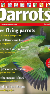 Parrots - Issue 299 - 12.2022 - English