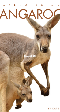 Kangaroos - Amazing Animals - Kate Riggs - English
