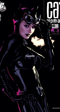 Catwoman Vol 3. 46 (of 83) - DC Comics 2005 - English