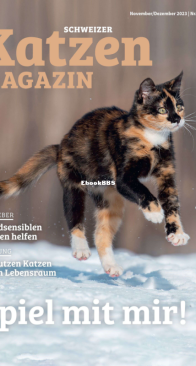 Katzen 11-12.2023 - German