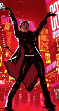 Catwoman Vol 3. 79 (of 83) - DC Comics 2008 - English