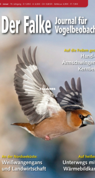 Der Falke – 01.2023 - German