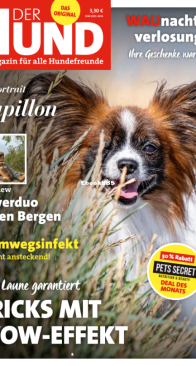 Der Hund - 01.2021 - German