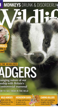 BBC Wildlife 2013 11 - English
