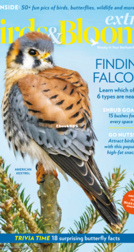 Birds and Blooms Extra - 09.2024 - English