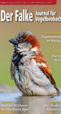 Der Falke – 08.2025 - German