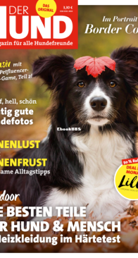 Der Hund - 11.2020 - German