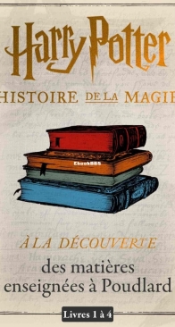 Harry Potter Histoire De La Magie - Livres 1 à 4 - Roan Daniel Eason - French