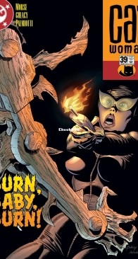 Catwoman Vol 3. 39 (of 83) - DC Comics 2005 - English