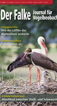 Der Falke – 10.2023 - German