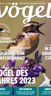 Vögel - Issue 73 – 3.2023 - German