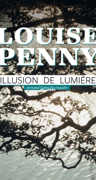 lllusion De Lumière - Arman Gamache Enquête 07 - Louise Penny - French