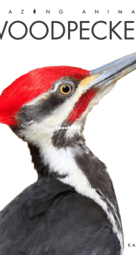 Woodpeckers   - Amazing Animals - Kate Riggs - English