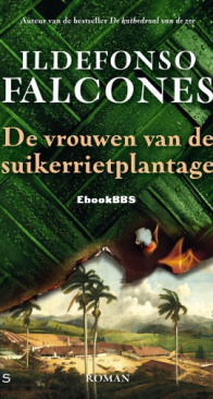 De Vrouwen Van De Suikerrietplantage - Ildefonso Falcones - Dutch