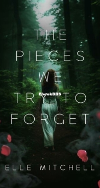 The Pieces We Try to Forget - Lost Hollow 2 - Elle Mitchell - English