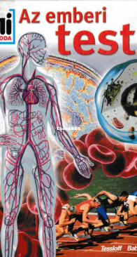 Az emberi test - Mi Micsoda 91. - Kirsten Bleich - Hungarian