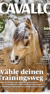 Cavallo - 01.2023 - German