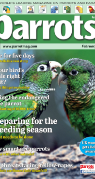Parrots - Issue 313 - 02.2024 - English