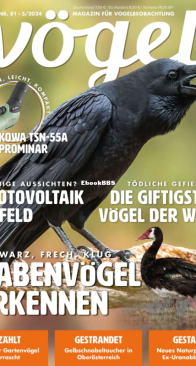 Vögel - Issue 81 – 5.2024 - German