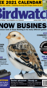 Birdwatch UK - Issue 343 - 01.2021 - English