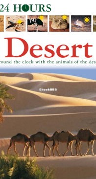 Desert - DK 24 Hours - English