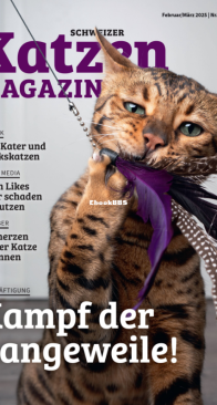 Katzen 1 - 02-03-2025 - German