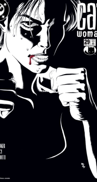 Catwoman Vol 3. 29 (of 83) - DC Comics 2004 - English