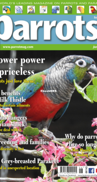 Parrots - Issue 293 - 06.2022 - English