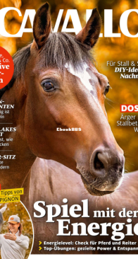 Cavallo - 11.2024 - German