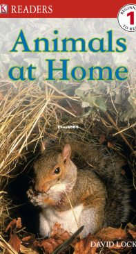 Animals at Home - DK Readers Level 1 - David Lock - English