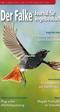 Der Falke – 04.2025 - German