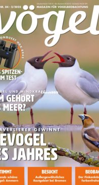 Vögel - Issue 84 – 2.2025 - German