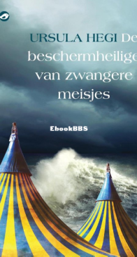 De Beschermheilige Van Zwangere Meisjes - Ursula Hegi - Dutch