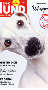 Der Hund - 07.2021 - German