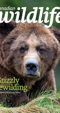 Canadian Wildlife 11-12. 2021 - English