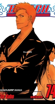 Bleach Colored 74 (of 74) - Viz 2018 - Tite Kubo - English