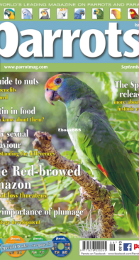 Parrots - Issue 296 - 09.2022 - English