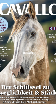 Cavallo - 10.2024 - German
