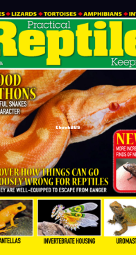 Practical Reptile Keeping 03.2024 - English