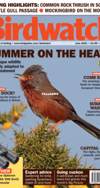 Birdwatch UK - Issue 348 - 06.2021 - English