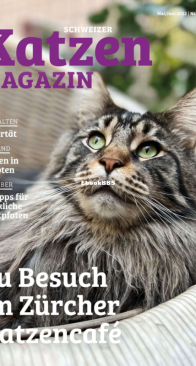 Katzen 3 - 05-06-2022 - German
