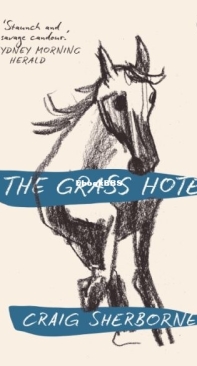 The Grass Hotel - Craig Sherborne - English