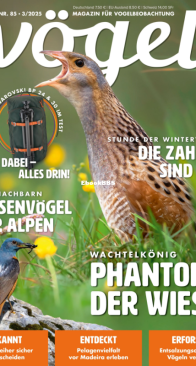 Vögel - Issue 85 – 3.2025 - German