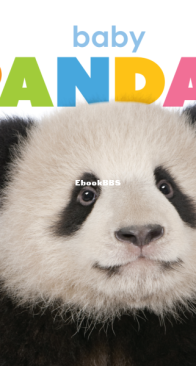 Baby Pandas - Starting Out - Kate Riggs - English