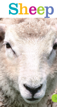 Sheep - Seedlings - Quinn M. Arnold - English